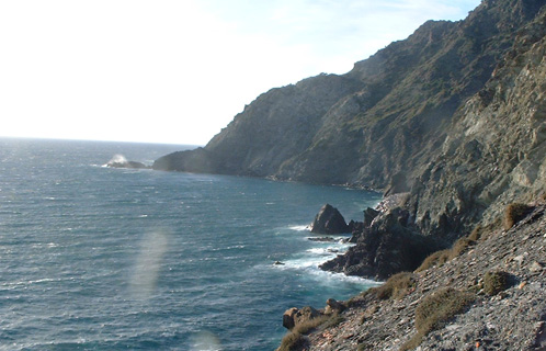 Le Cap Sicié (l'animal n'est pas visible de la côte).